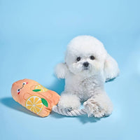 Hugsmart Products Inc dog toys Beach Daze Orange Popsicle Rope Plush Dog Toy