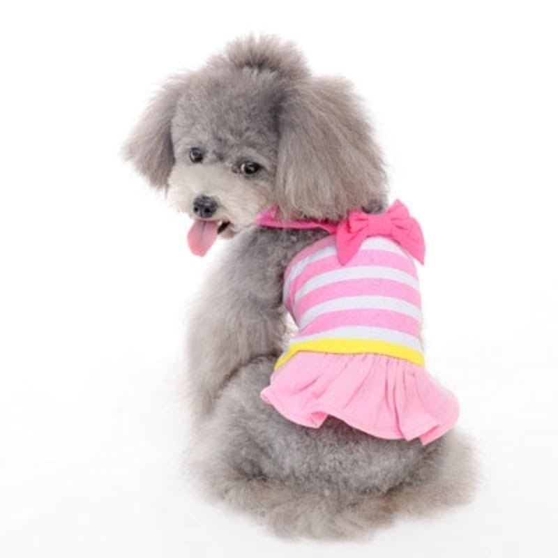 Dogo Pet DRESSES XXS Pink Stripe Bow Strap Cruise Dog Dress - Only Available in Size 2XS