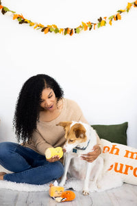Pearhead, Inc. dog toys Thanksgiving Dinner Turkey Leg, Corn Cob, and Pie Plush Squeak Dog Toy Set - 3 Pc