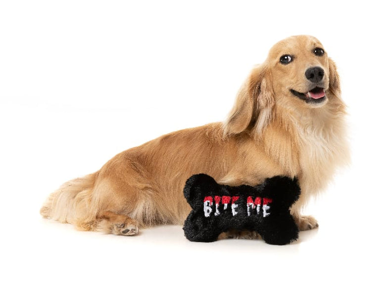 FuzzYard dog toys Halloween Bite Me Bone Black Plush Squeak Dog Toy