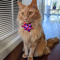 Huxley & Kent Bow Ties Convo Hearts Pinwheel Flower Pet Collar Attachment - 2 Sizes