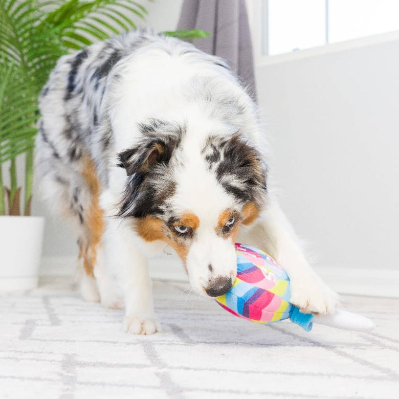 Huxley & Kent dog toys I'm Sweet Lollipop Plush Squeak Dog Toy - 2 Sizes