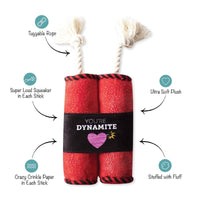 Pet Shop by Fringe Studio dog toys You're Dynamite Plush Squeak Dog Toy