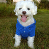 Doggie Design Tee's Nautical Blue Solid Collared Dog Polo Shirt