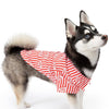 Doggie Design Dog Apparel Movie Theater Popcorn Box Striped Red & White Collared Camp Dog Shirt