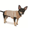 Dogo Pet Fashions Sweaters Bge / SM Stripy Lover Dog Sweater - Various Colors