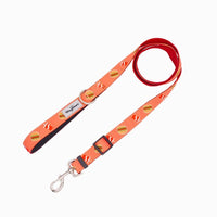 Hugsmart Products Inc Leashes FoodieTime Dog Leash