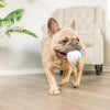 Huxley & Kent dog toys Tiny Tuff Fluffer Nutter Plush Dog Toy Set - 2 Pc