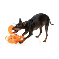 FuzzYard dog toys Sailor Squiggles Orange Octopus Plush Squeak Dog Toy