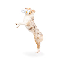 Frosty Snowman Squeak 'n Peek Christmas Holiday Plush Squeaky Ball Dog Toy Set - 4 Pc