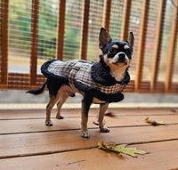 Doggie Design Jackets Sherpa Lined Dog Harness Coat Brown & White Plaid with Matching Leash