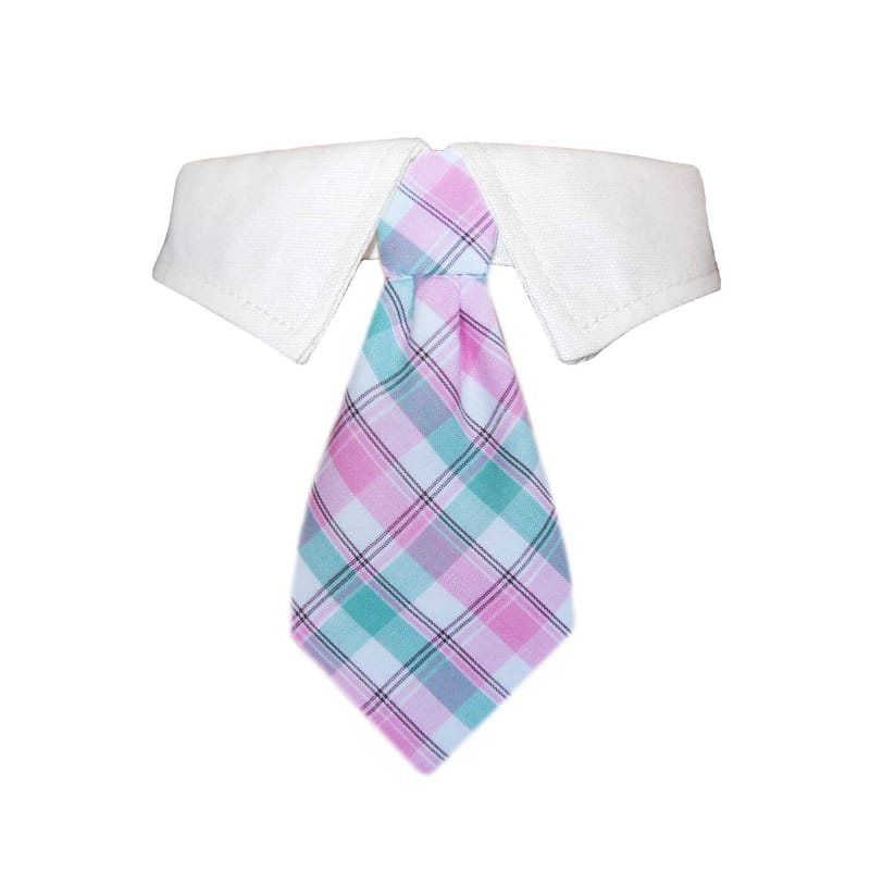Pooch Outfitters Collars XS Pink and Green Brooks Shirt Collar with Detachable Tie for Pets