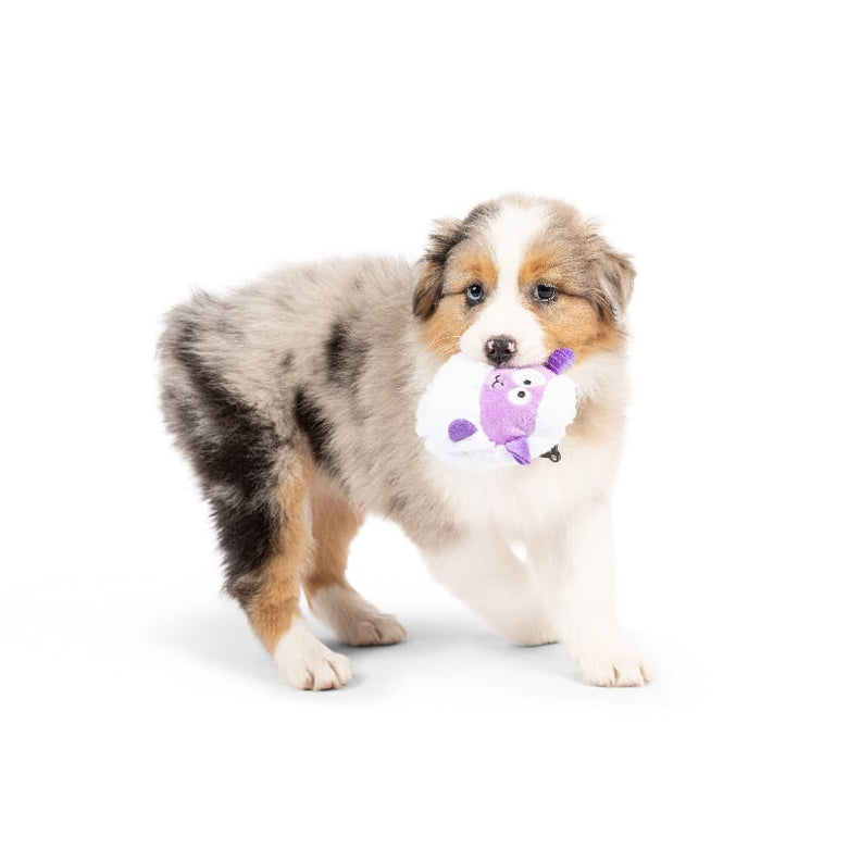 Huxley & Kent Dog Toys Tiny Tuff Lady Baba Plush Squeak Dog Toy