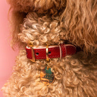 Neighborwoof COLLARS Strawberries and Wine Handcrafted Leather with Gold Hardware Dog Collar
