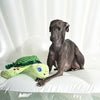 Hugsmart Products Inc Hugsmart Products Inc - HugSmart Pet - Ocean Pals  | Sea Turtle - Dog Rope Toy