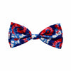 Huxley & Kent Huxley & Kent - American Tie Dye Bow Tie: Small