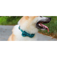 BARK by DOG Collars Green Plaid Multi Bow Tie Dog Collar