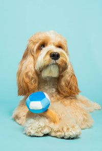 Specks and Pets dog toys Bling Bling Diamond Ring Plush Squeak Dog Toy 5”