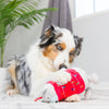 Deck The Bear Christmas Holiday Plush Squeaky Dog Toy- 2 Sizes