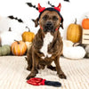 PetShop by Fringe Studio dog toys Cute lil Devil Dog Costume/ Play Set - 2 Pc