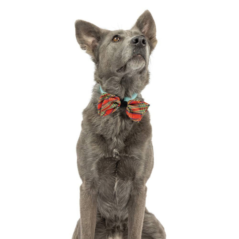 Shiny Christmas Holiday Red Plaid Bow Tie Pet Collar Attachment - 2 Sizes