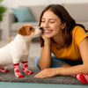 Extreme Fit Wholesale Pet Socks Red Strawberries Matching Pet & Owner Fun Socks - One Size Fits Most