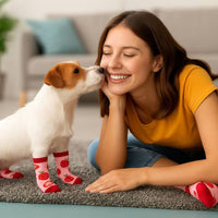 Extreme Fit Wholesale Pet Socks Red Strawberries Matching Pet & Owner Fun Socks - One Size Fits Most