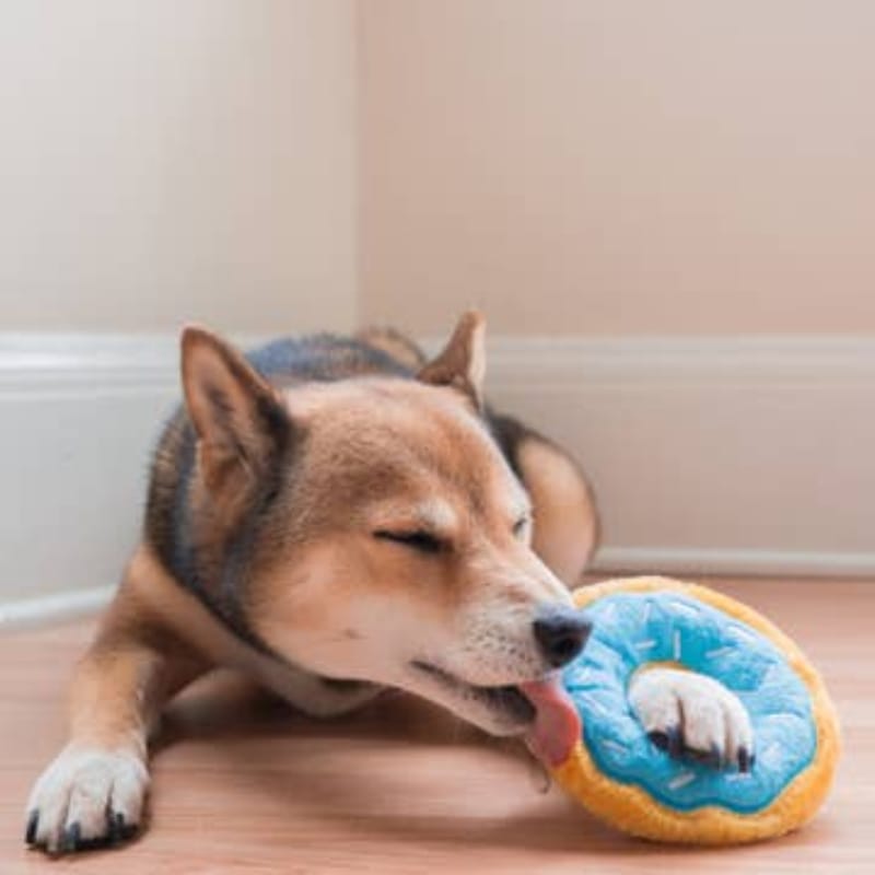 Zippypaws dog toys Blueberry Donutz Sprinkles Squeaky Dog Toy - 3 Sizes