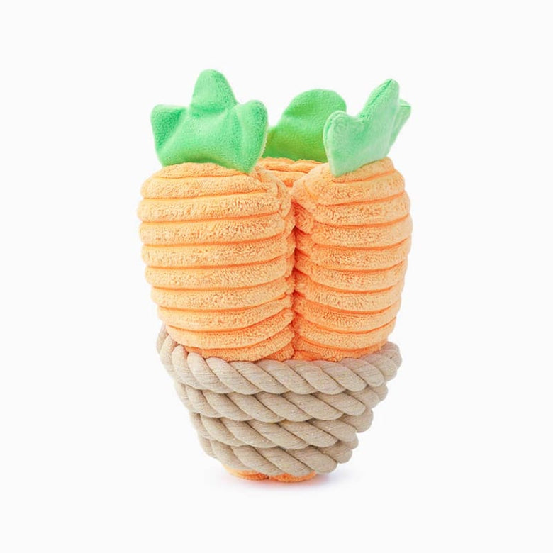 Hugsmart Products Inc dog toys Puppy Garden Bunch of Carrots Rope Spring Plush Dog Toy