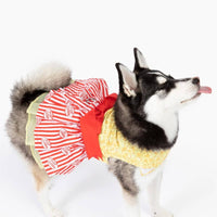 Doggie Design DRESSES Movie Theater Popcorn Dog Dress w/ Matching Leash