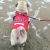 Parisian Pet® Tee's WTF Where's the Food Red Dog T-Shirt