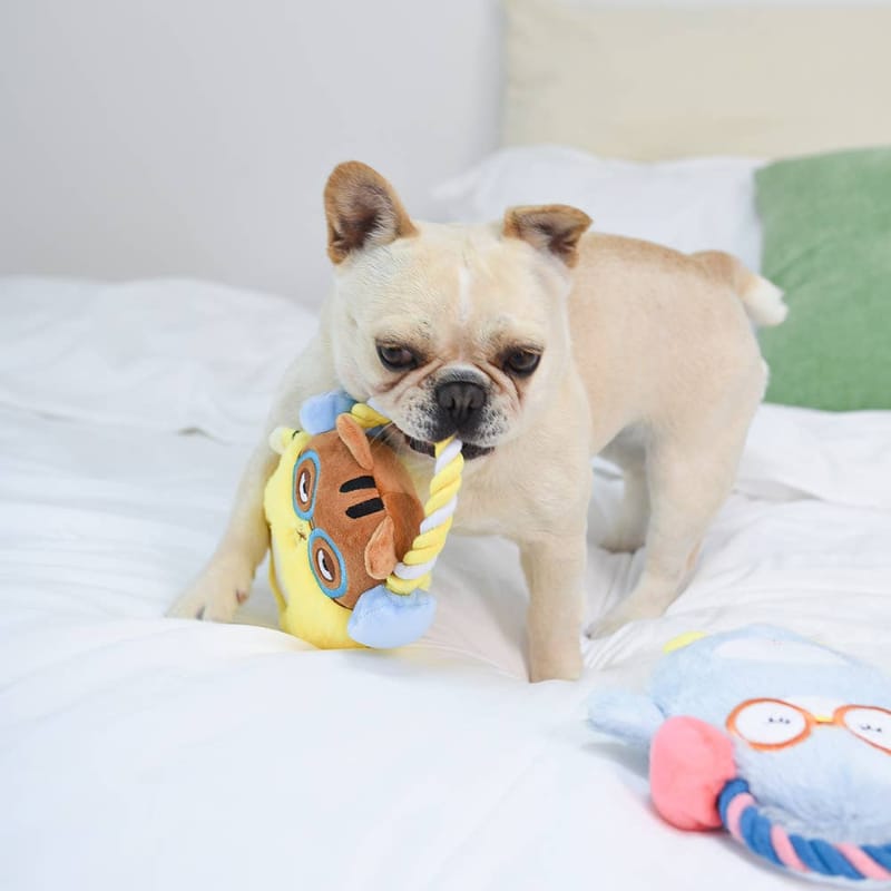 Hugsmart Products Inc Dog Toys Melody Bros Penguin Rope Plush Squeak Dog Toy