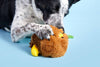 BARK dog toys Super Chewer Fowl Play Rooster Interactive Plush Rubber Treat Dog Chew Toy