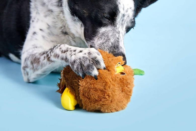 BARK dog toys Super Chewer Fowl Play Rooster Interactive Plush Rubber Treat Dog Chew Toy