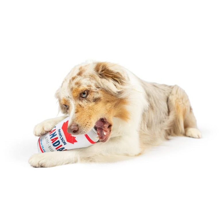 Huxley & Kent Dog Toys Pawlson Can Plush Squeak Dog Toy - 2 Sizes