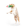 Christmas Holiday Let's Get Lit Gnome Plush Squeaky Dog Toy - Lg