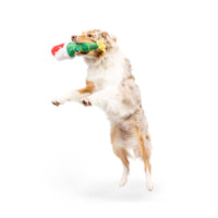 Christmas Holiday Let's Get Lit Gnome Plush Squeaky Dog Toy - Lg