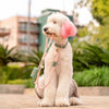 Neighborwoof Waste Bag Dispenser Beverly Hills Handcrafted Leather Pet Waste Bag Case Dispenser