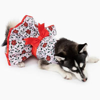 Holiday Holly Christmas Dog Harness Dress with Matching Leash