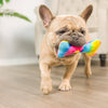 Huxley & Kent dog toys Tiny Tuff Out For Brunch Chompagne and Bone Plush Dog Toys - 2pk