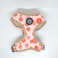Chicago Dog Co. Pet Collars & Harnesses Flower Power Harness