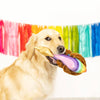 Pet Shop by Fringe Studio dog toys Rainbows High Star Sloth Plush Dog Toy