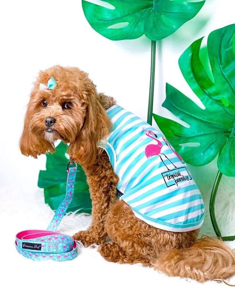 Parisian Pet® Tee's Pink Flamingos Tropical Paradise Blue Stripe Dog T-Shirt