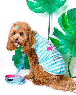 Parisian Pet® Tee's Pink Flamingos Tropical Paradise Blue Stripe Dog T-Shirt