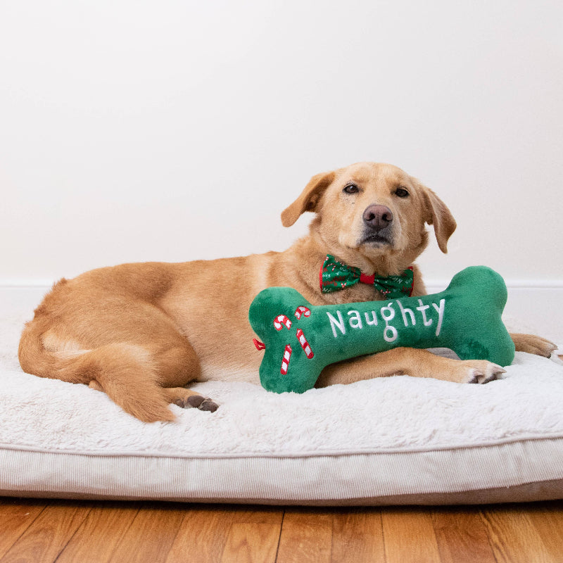 Huxley & Kent Huxley & Kent - Naughty Nice Bone Dog Toy: Large