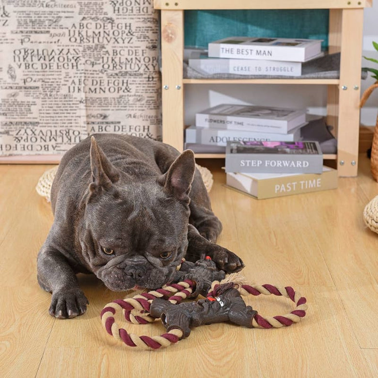 Hugsmart Products Inc dog toys Betty Monster Rubber Rope Dog Toy