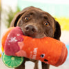 Petshop by Fringe Studio dog toys Muttchelada with Lime Adornment Plush Squeaky Dog Toy