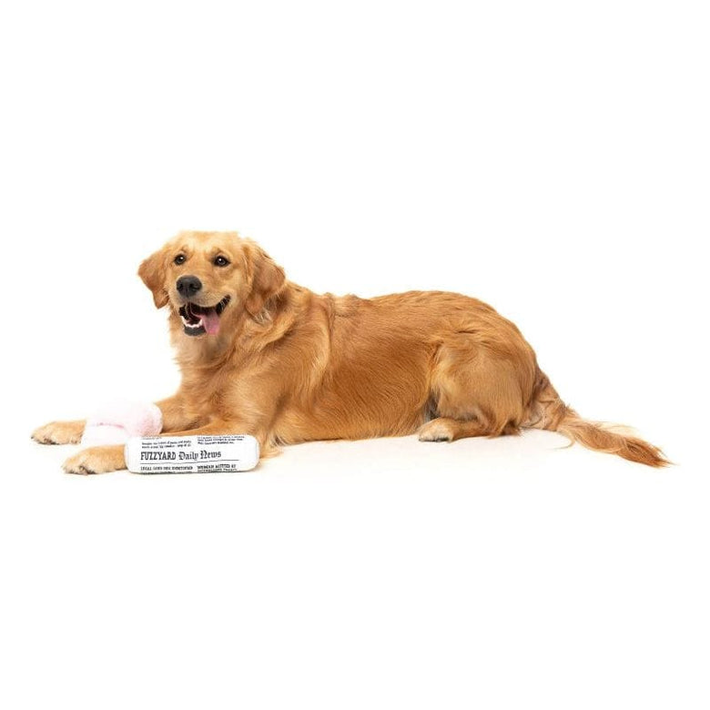 FuzzYard dog toys Fetch My Slippers & Paper Squeaky Plush Dog Toy Set - 2pk