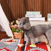 Hugsmart Products Inc dog toys Picnic Time Yappy Yum Plush Dog Toy Set - 3 Pc