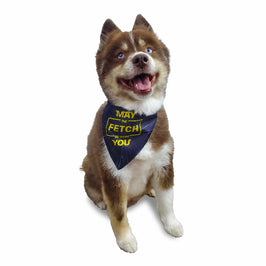 Barker's Bowtique Barker's Bowtique - May the Fetch be with You Dog Bandana - reversible: XS